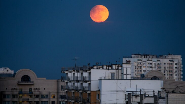 Москвичи смогут увидеть самое большое суперлуние вечером 5 ноября Москвичи смогут увидеть самое большое суперлуние вечером 5 ноября