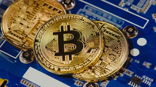 Стоимость биткоина опускалась ниже 100 тыс долларов впервые с июня Стоимость биткоина опускалась ниже 100 тыс долларов впервые с июня