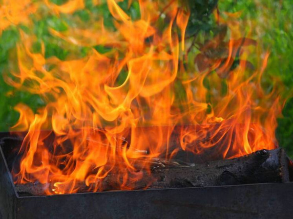 Ветврачи спасли собаку, получившую «шашлычную» травму: пересадили кожу Ветврачи спасли собаку, получившую «шашлычную» травму: пересадили кожу